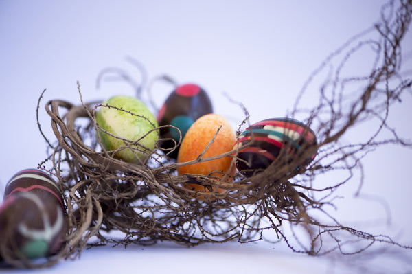 colourful egg nest